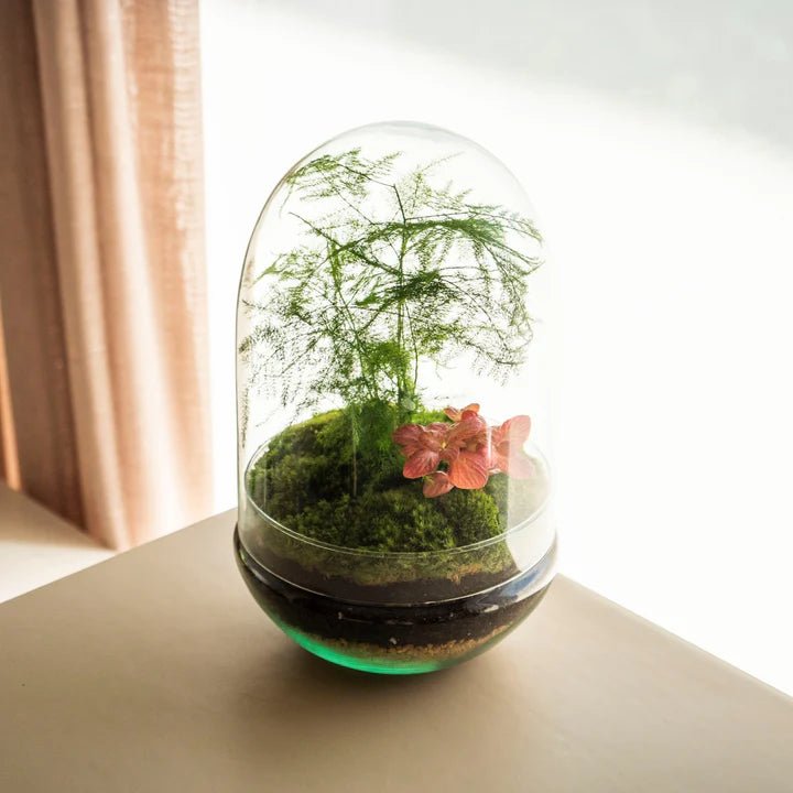 La Importancia de la Luz en el Cuidado de Tus Jardines en un Bol Cons