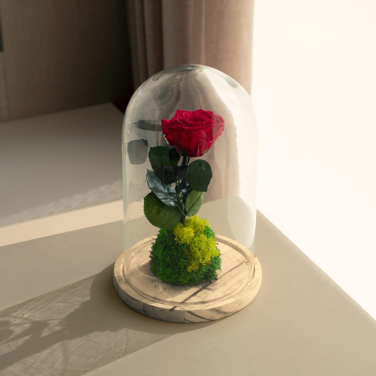 Què és una rosa eterna? | OmotesandoPlants.com – Omotesandō Plants