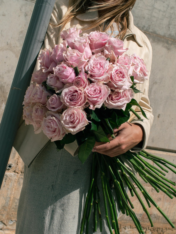 Rosas Rosas - Elige la cantidad que desees