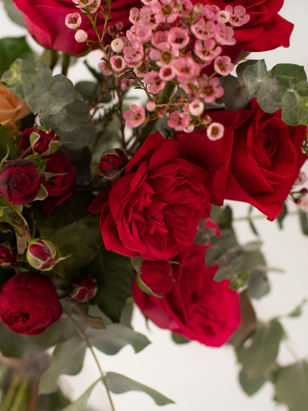 Camins - Omotesandō Plants