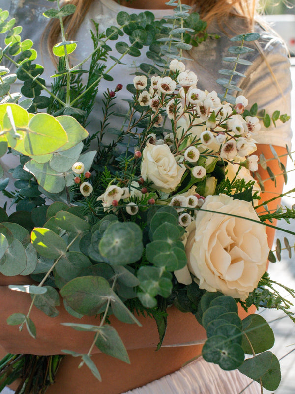 Carmensita - Omotesandō Plants