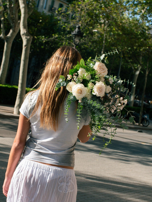 Carmensita - Omotesandō Plants