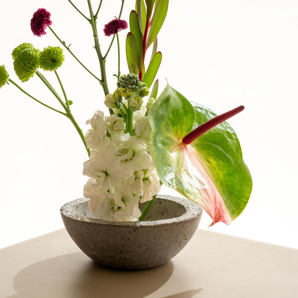 Crisante - Omotesandō Plants