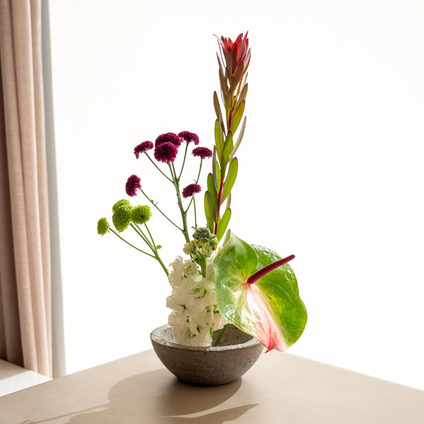 Crisante - Omotesandō Plants