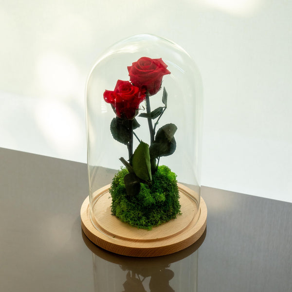 Daburu Rose - Omotesandō Plants