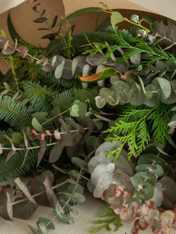 Eucalipto y magnolia - Omotesandō Plants