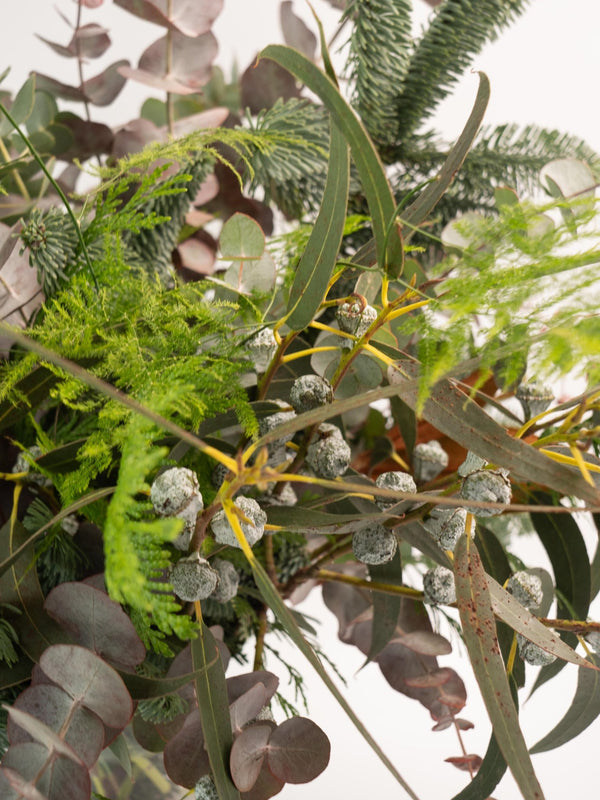 Eucalipto y magnolia - Omotesandō Plants