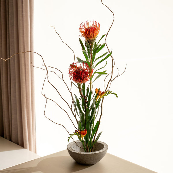 Leucade - Omotesandō Plants