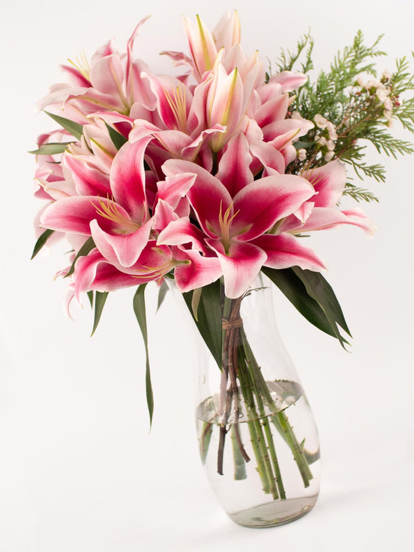 Liliums rosas - Omotesandō Plants