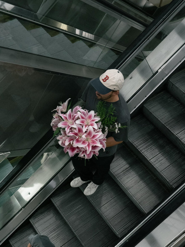 Liliums rosas - Omotesandō Plants