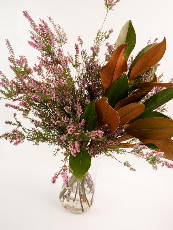 Magnolia y Erica - Omotesandō Plants