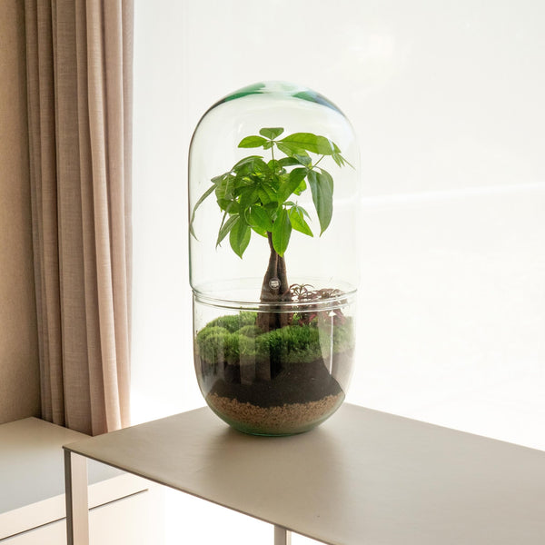 Midori Pach - Omotesandō Plants