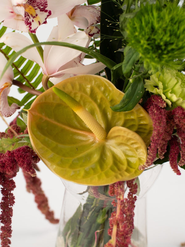 Naive - Omotesandō Plants