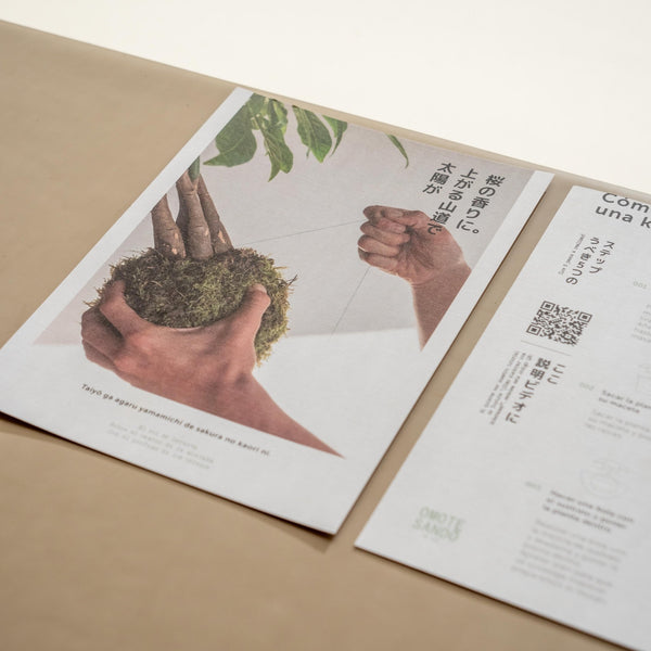 Pack DIY - Kokedama sin planta - Omotesandō Plants
