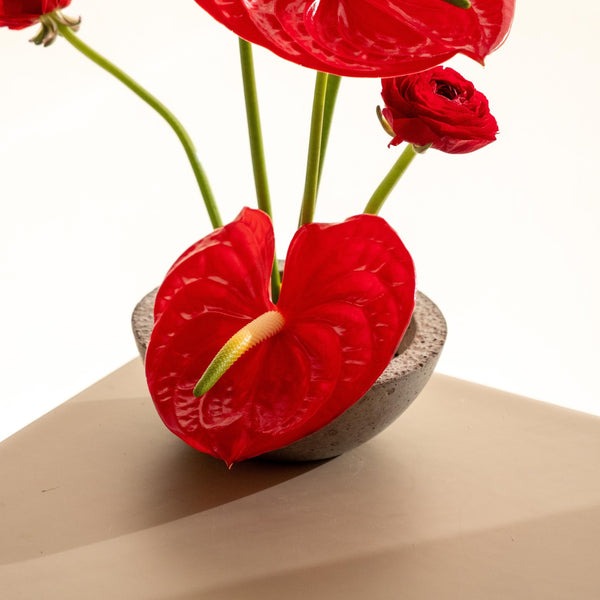 Ranun - Omotesandō Plants