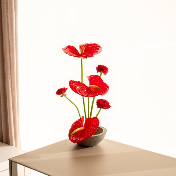 Ranun - Omotesandō Plants