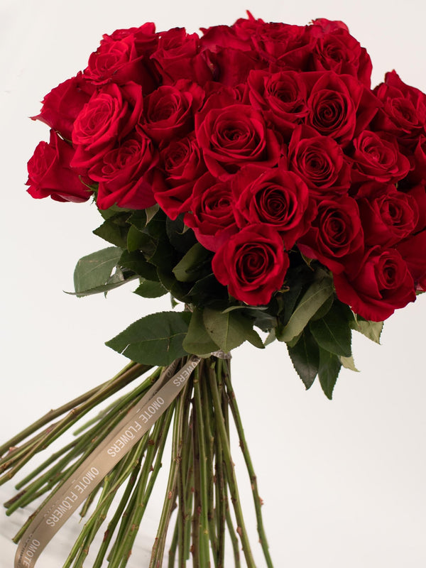 Rosas Rojas - Elige la cantidad que desees - Omotesandō Plants