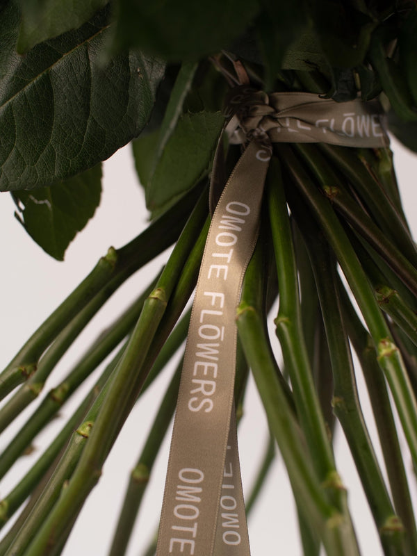 Rosas Rosas - Elige la cantidad que desees - Omotesandō Plants