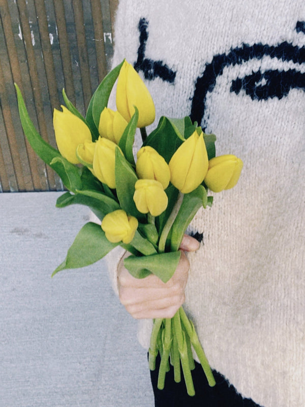 Tulipas amarillas - Omotesandō Plants