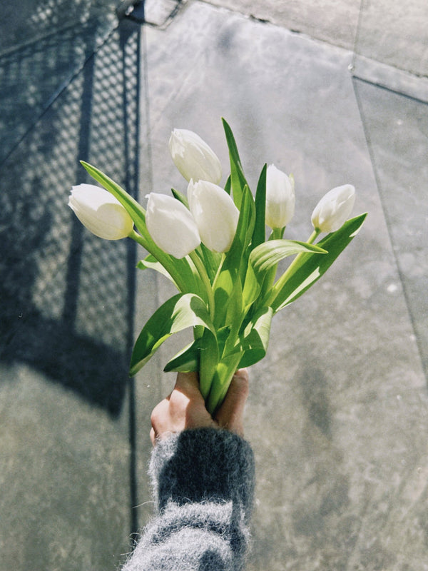 Tulipas blancas - Omotesandō Plants