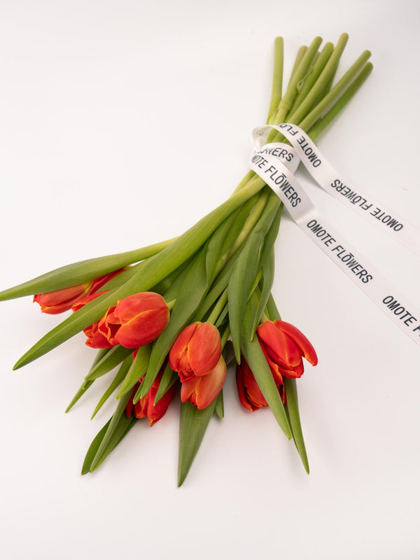 Tulipas rojas - Omotesandō Plants