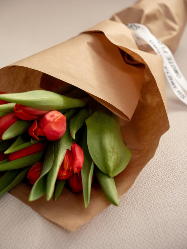 Tulipas rojas - Omotesandō Plants