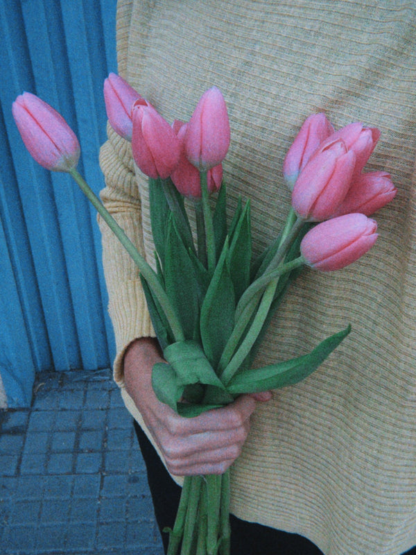 Tulipas rosas - Omotesandō Plants
