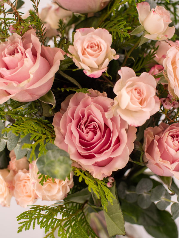 Volant - Omotesandō Plants