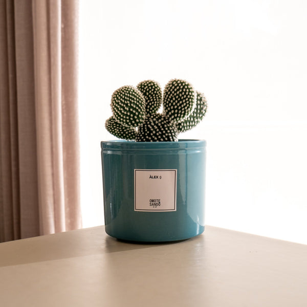 Albis - Omotesandō Plants