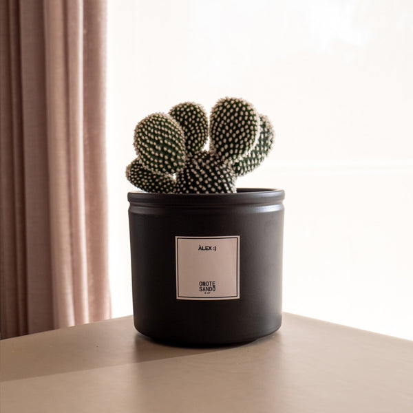 Albis - Omotesandō Plants