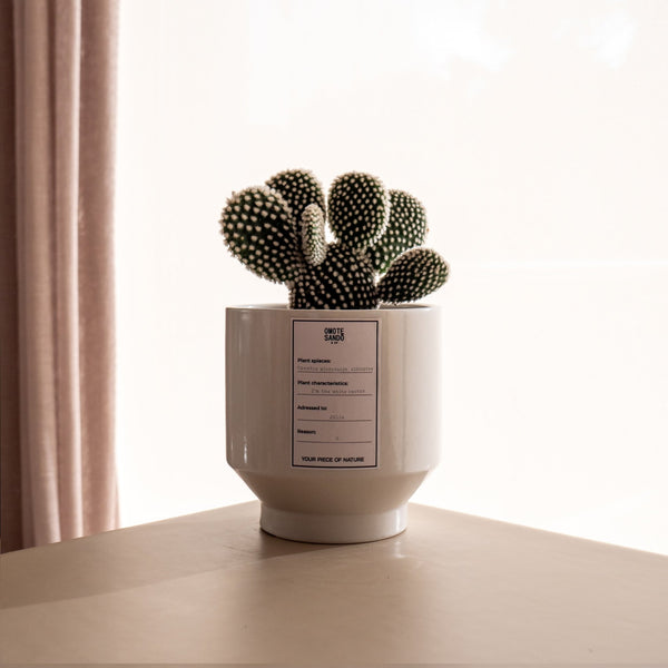 Albis - Omotesandō Plants