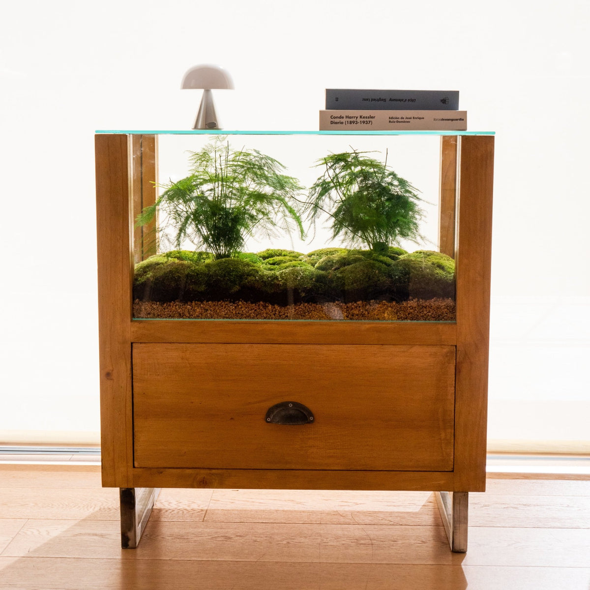 black jungle terrarium plants Black Jungle - Terrarium furniture