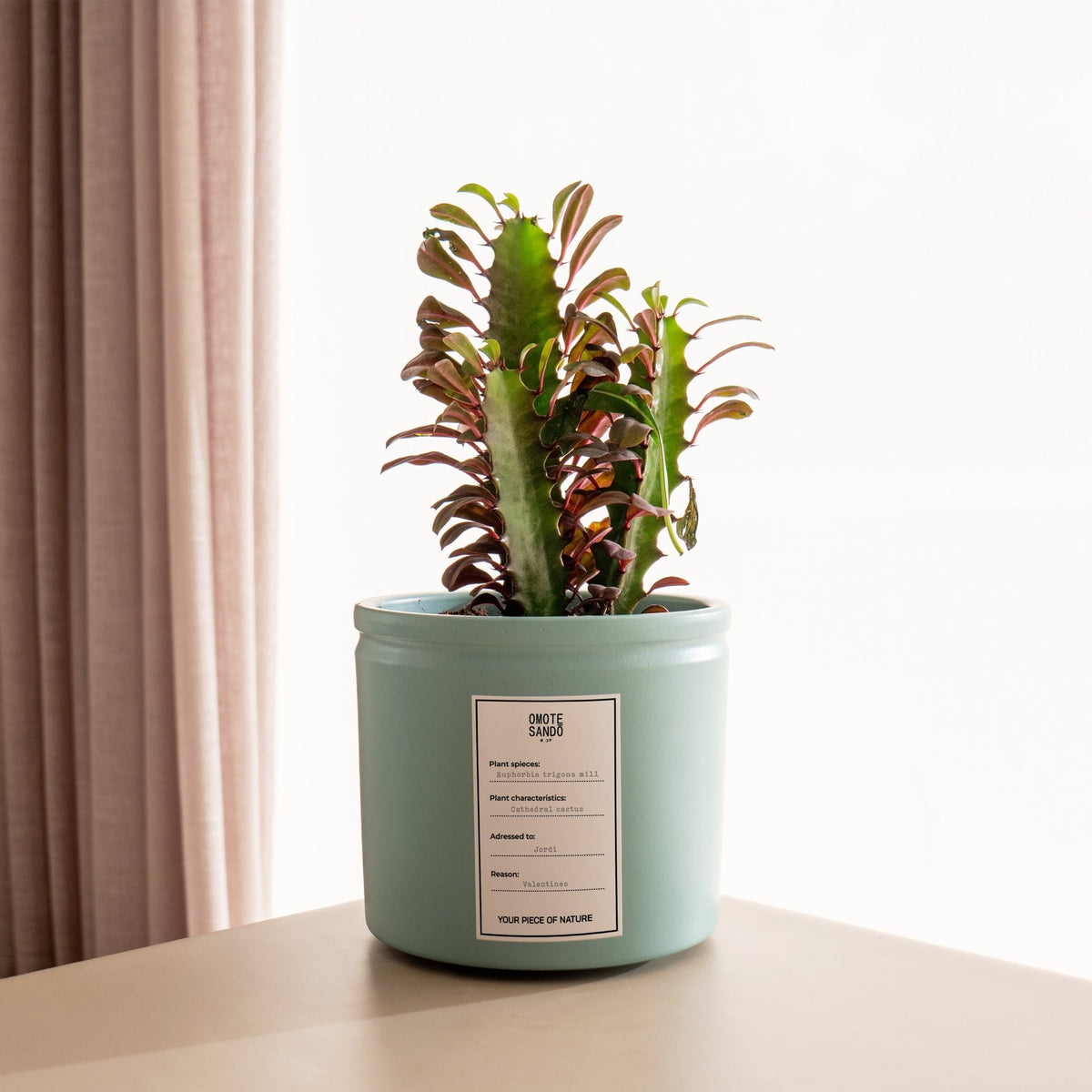neem zimmerpflanzen Spruzit NEEM ZierpflanzenSchädlingsfrei – Neudorff Shop