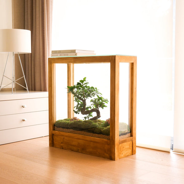 Monteverde - Omotesandō Plants