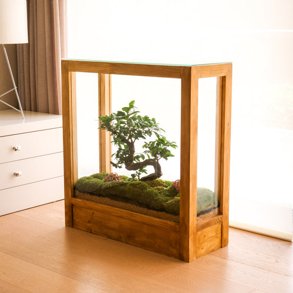 Monteverde - Omotesandō Plants