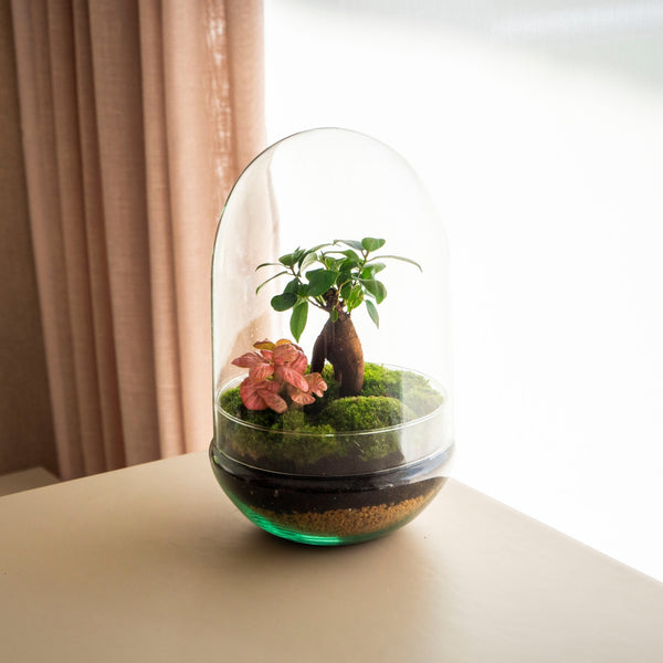 Natura Green - Omotesandō Plants