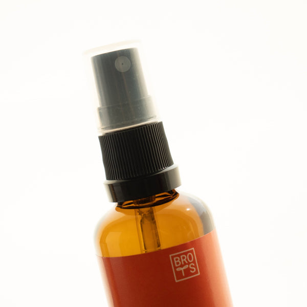 Plant Food - Plantas de aire - Omotesandō Plants