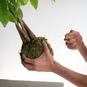 How is a kokedama made?