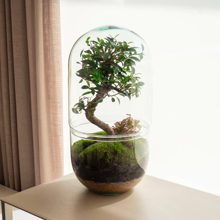 Blog Omotesandō – Omotesandō Plants