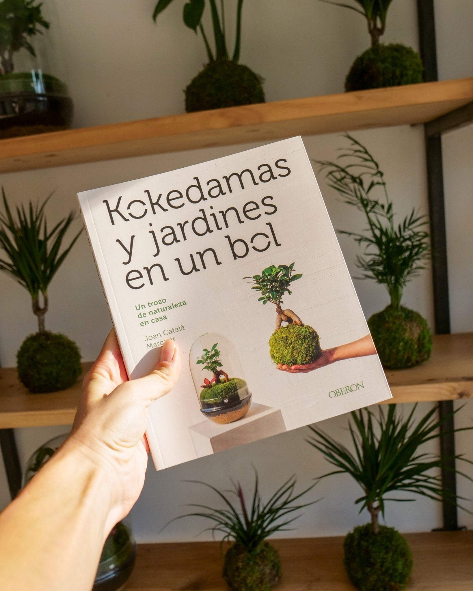 Omotesandō book: "Kokedamas and gardens in a bowl".