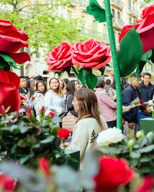 Sant Jordi 2024 - Omotesandō Plants