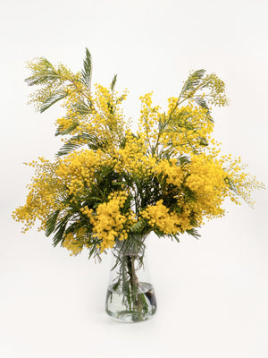 Flores de temporada - Omotesandō Plants