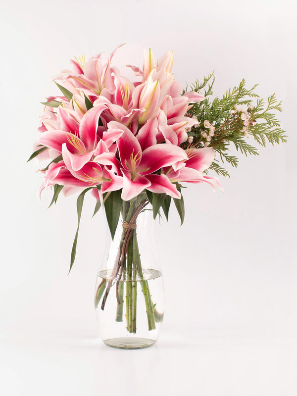 Liliums rosas