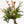 Algodón y eucalipto - Omotesandō Plants
