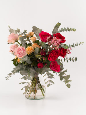 Camins - Omotesandō Plants