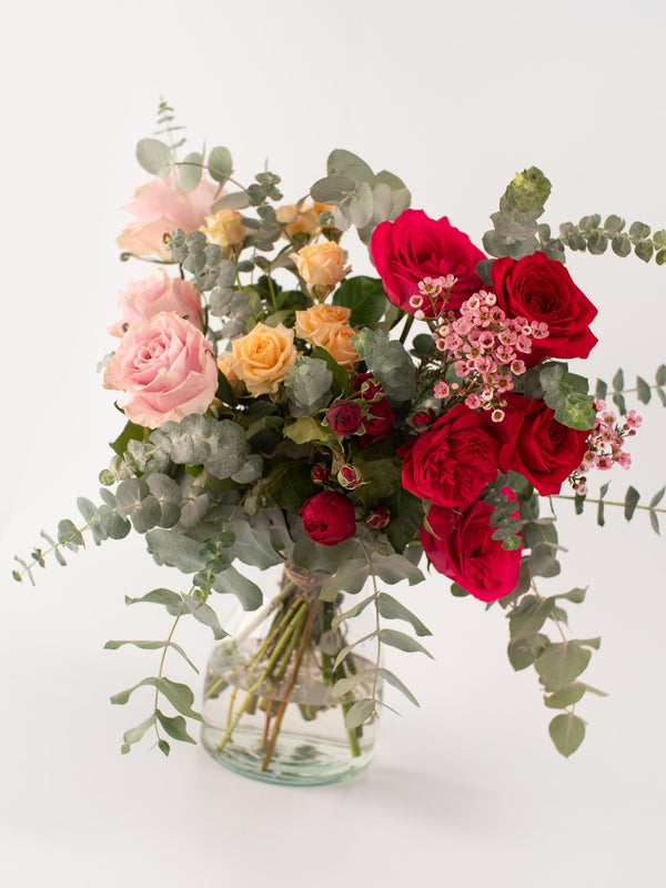 Camins - Omotesandō Plants