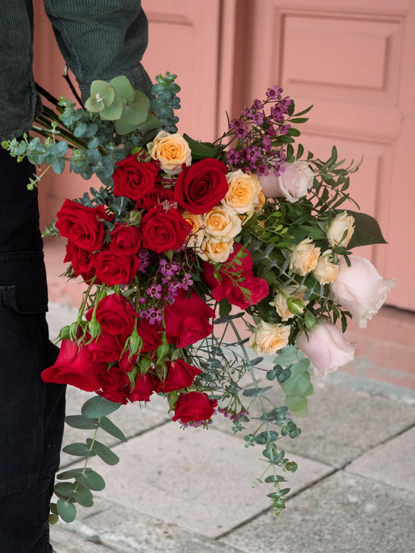 Camins - Omotesandō Plants