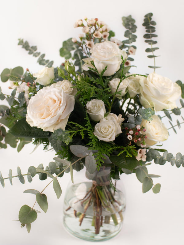 Carmensita - Omotesandō Plants