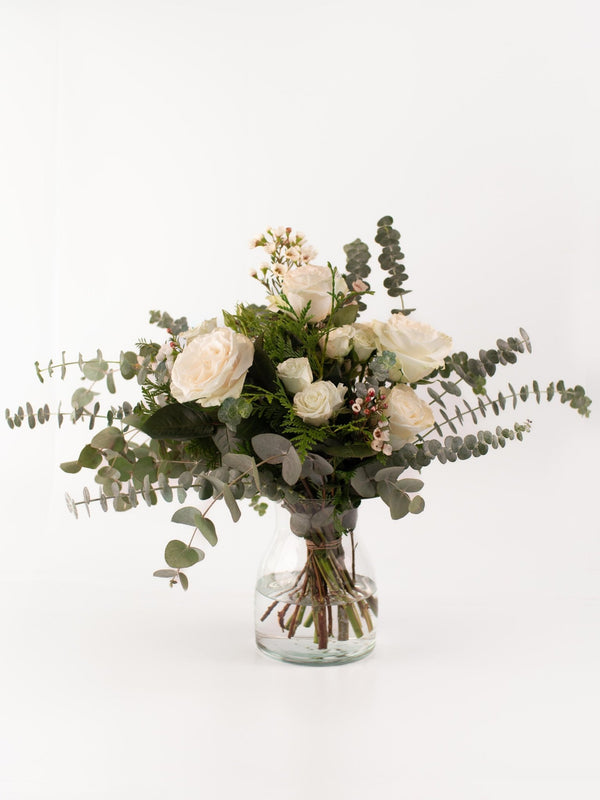 Carmensita - Omotesandō Plants