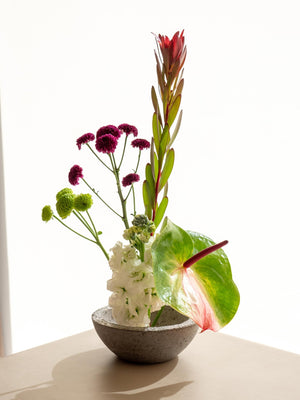 Crisante - Omotesandō Plants